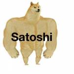 Satoshi2040