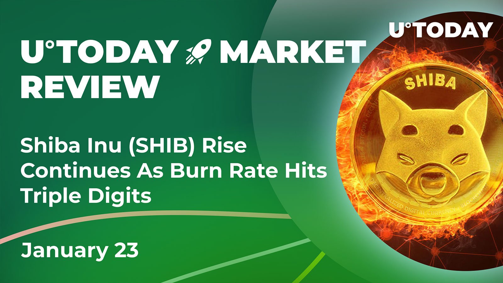 Shiba Inu (SHIB) Rise Continues as Burn Rate Hits Triple Digits: Crypto Market Review, Jan. 23
