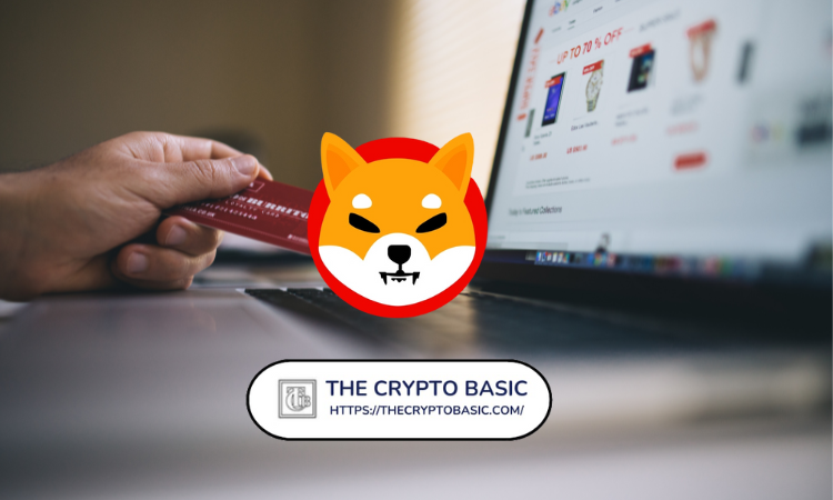 600+ Georgia Vendors Now Accepting Shiba Inu Payments