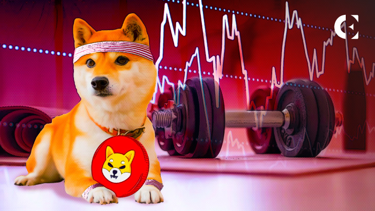 SHIB Close to Breaking into Top 10 After Outranking DOT, LTC - Coin Edition