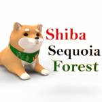 Shiba Sequoia Forest