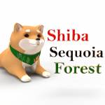 Shiba Sequoia Forest - Lads