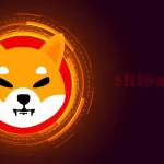 Shiba Persiannews